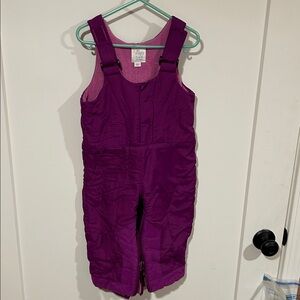 Place Pink and Purple Snow Bib